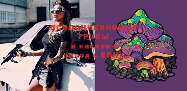 дживик Куйбышев