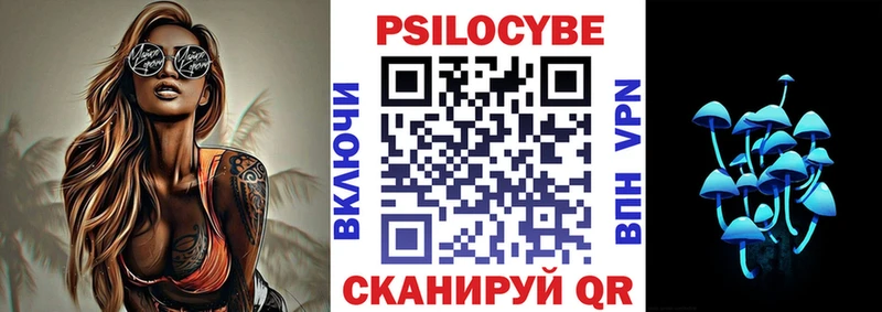 Купить закладки  Мензелинск  Псилоцибиновые грибы Psilocybine cubensis 